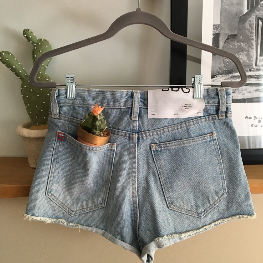 Urban Outfitters BDG High Rise Denim Shorts, Size 29, NWT